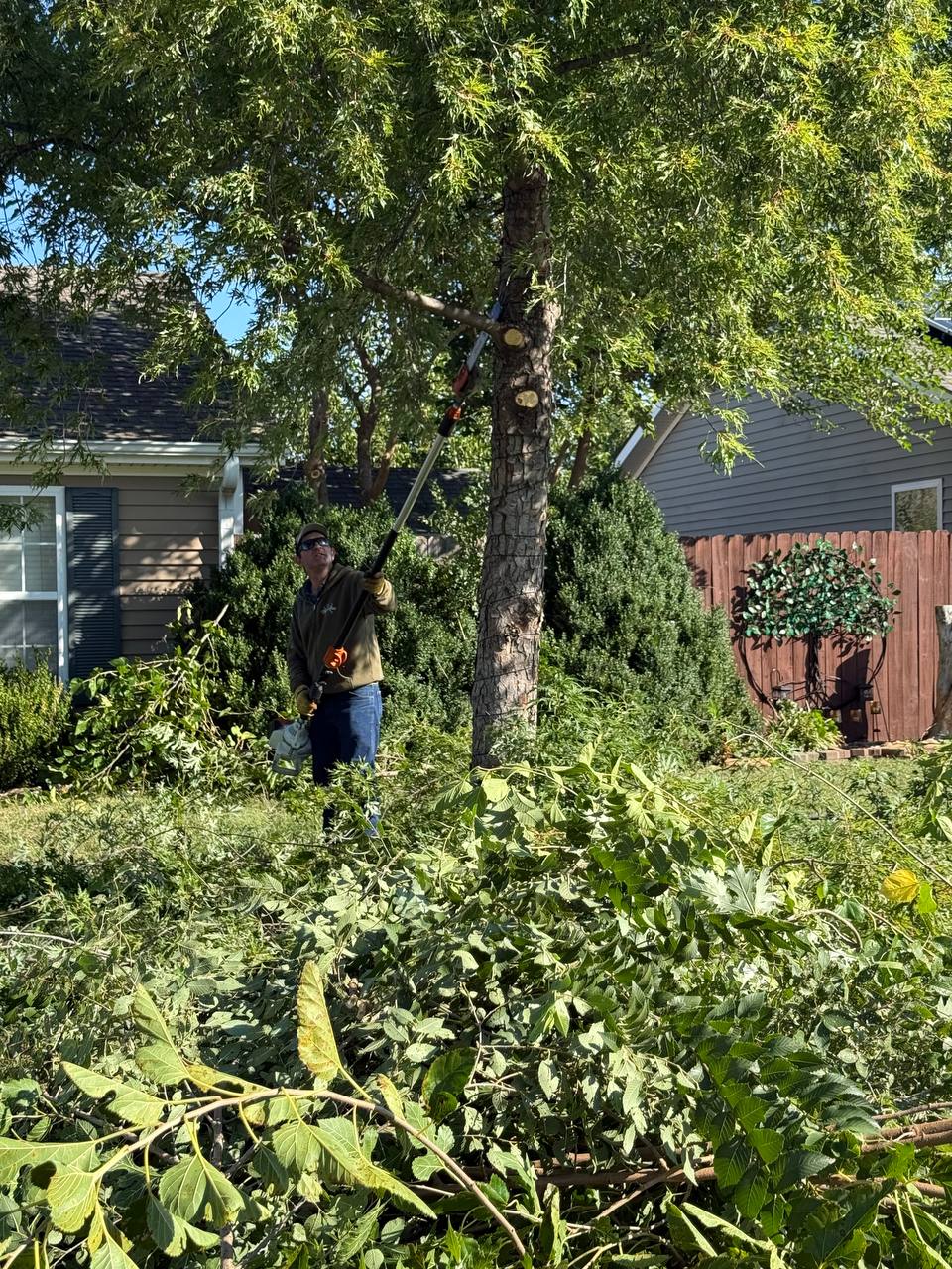 True Axe Tree Service job