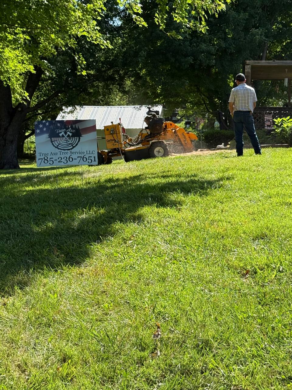 True Axe Tree Service job