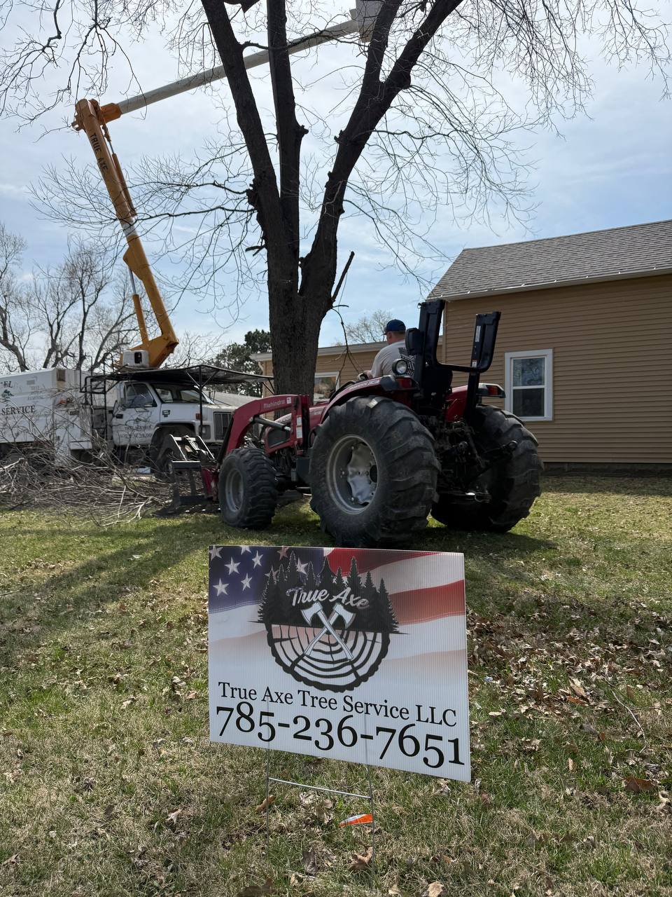 True Axe Tree Service job